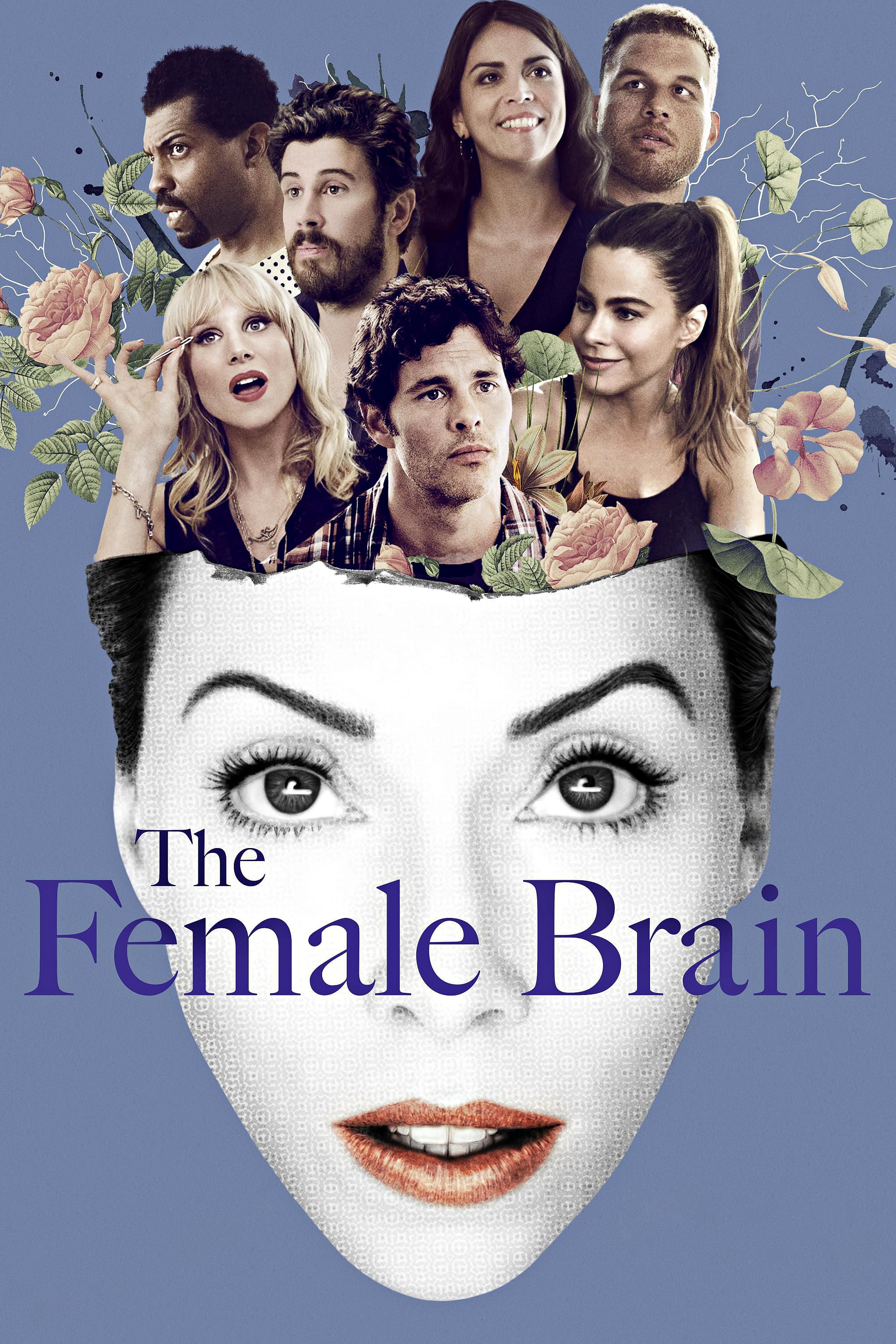 постер Женский мозг